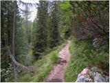 Passo Tre Croci - Sella di Punta Nera